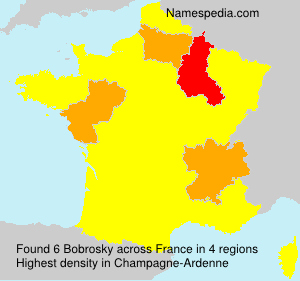 Surname Bobrosky in France Surname Bobrosky in France
