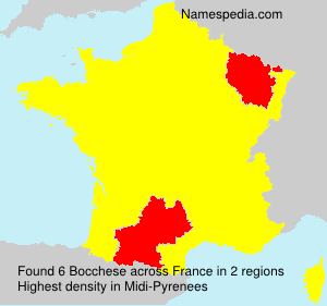 Surname Bocchese in France Surname Bocchese in France
