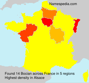 Bocian Bocian