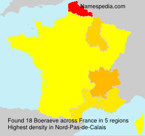 Surname Boeraeve in France Surname Boeraeve in France
