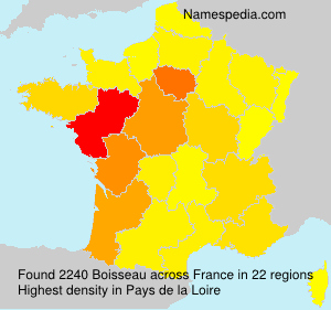 Surname Boisseau in France Surname Boisseau in France