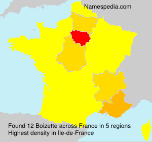 Surname Boizette in France
