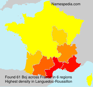 Surname Boj in France Surname Boj in France