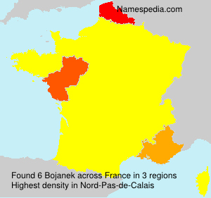 Surname Bojanek in France Surname Bojanek in France