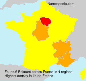 Surname Bokoum in France Surname Bokoum in France