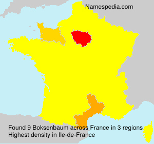 Surname Boksenbaum in France Surname Boksenbaum in France