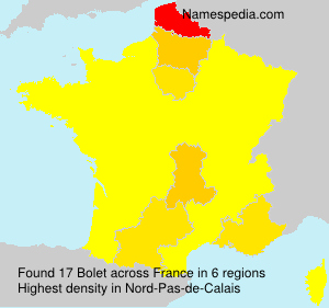 Surname Bolet in France Surname Bolet in France
