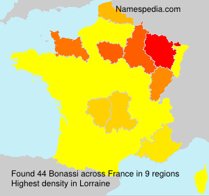 Bonassi Bonassi