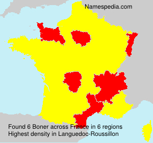 Surname Boner in France Surname Boner in France