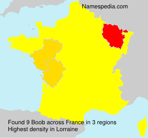 Surname Boob in France Surname Boob in France
