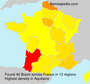 Surname Boom in France Surname Boom in France