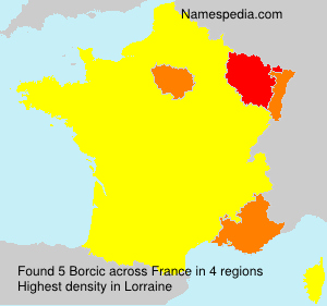 Surname Borcic in France Surname Borcic in France