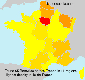 Surname Borowiec in France Surname Borowiec in France