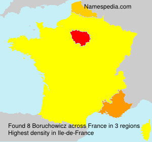 Surname Boruchowicz in France Surname Boruchowicz in France