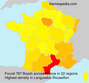 Surname Bosch in France Surname Bosch in France