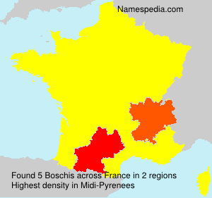 Surname Boschis in France Surname Boschis in France