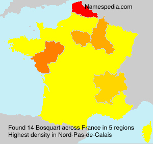 Surname Bosquart in France Surname Bosquart in France