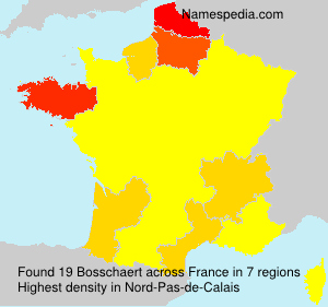 Surname Bosschaert in France Surname Bosschaert in France