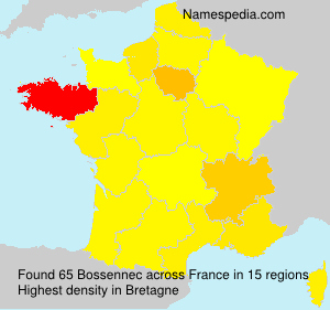 Surname Bossennec in France Surname Bossennec in France