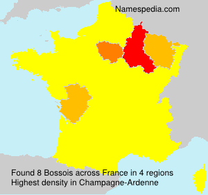 Surname Bossois in France Surname Bossois in France
