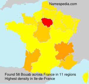 Surname Bouab in France Surname Bouab in France