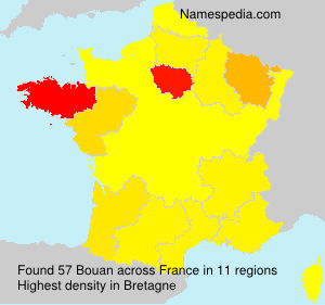 Surname Bouan in France Surname Bouan in France