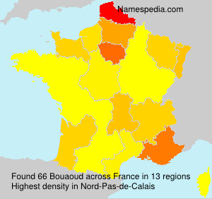 Surname Bouaoud in France Surname Bouaoud in France
