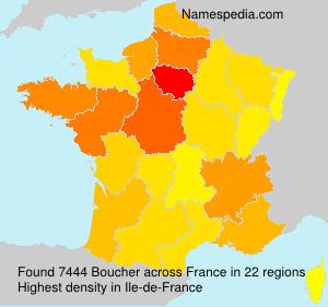 Surname Boucher in France Surname Boucher in France
