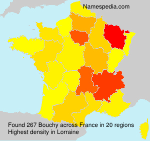 Surname Bouchy in France Surname Bouchy in France