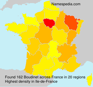 Surname Boudinet in France Surname Boudinet in France