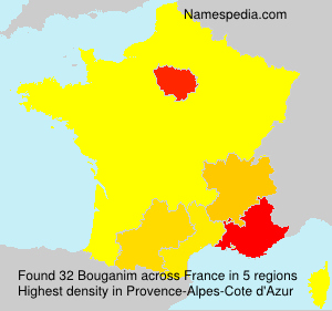 Surname Bouganim in France Surname Bouganim in France