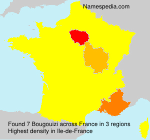 Surname Bougouizi in France Surname Bougouizi in France
