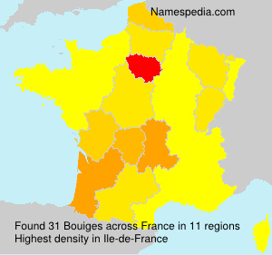 Surname Bouiges in France Surname Bouiges in France