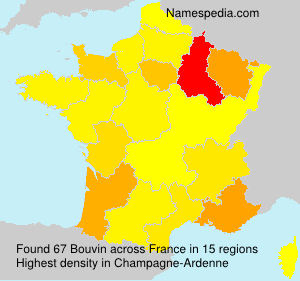 Surname Bouvin in France Surname Bouvin in France