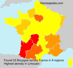 Surname Bouygue in France Surname Bouygue in France