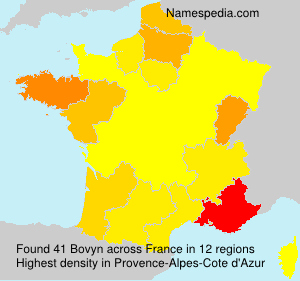 Surname Bovyn in France Surname Bovyn in France
