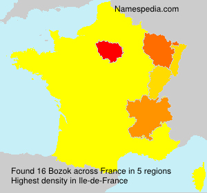 Surname Bozok in France Surname Bozok in France