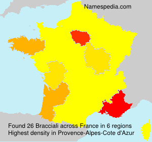 Surname Bracciali in France Surname Bracciali in France