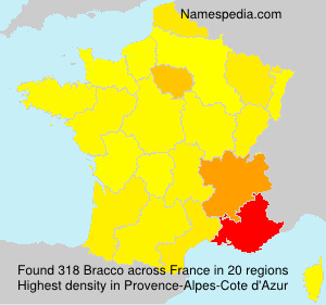 Surname Bracco in France Surname Bracco in France