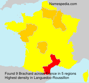 Brachard Brachard
