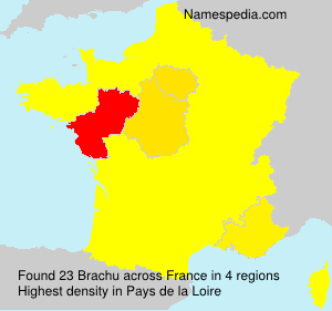 Surname Brachu in France Surname Brachu in France