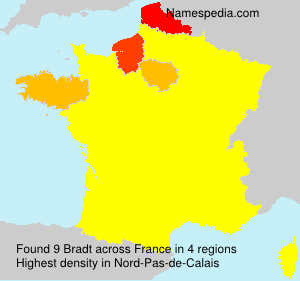 Bradt - France