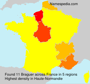 Surname Braguer in France Surname Braguer in France