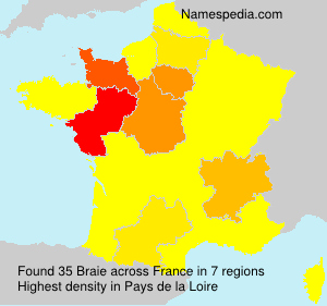 Surname Braie in France