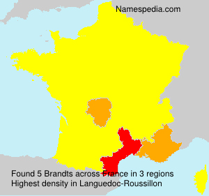 Brandts Brandts