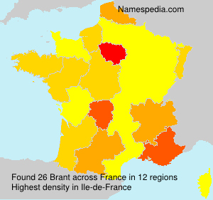 Surname Brant in France Surname Brant in France