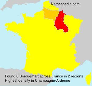 Surname Braquemart in France