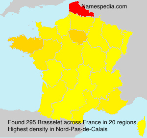 Surname Brasselet in France Surname Brasselet in France