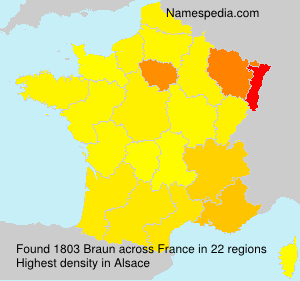 Surname Braun in France