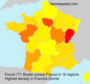 Surname Bredin in France Surname Bredin in France